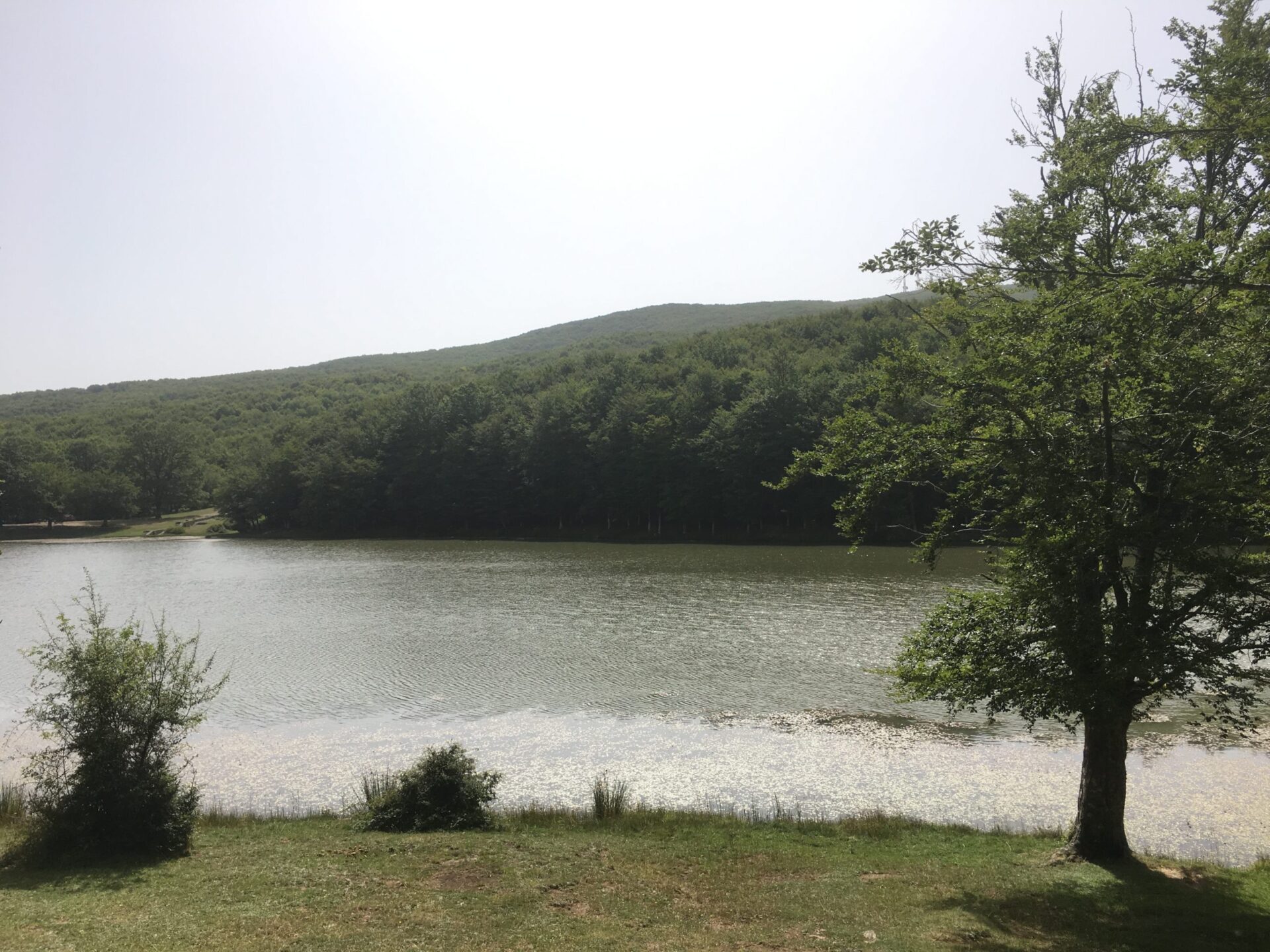 Maulazzo lake, Nebrodi