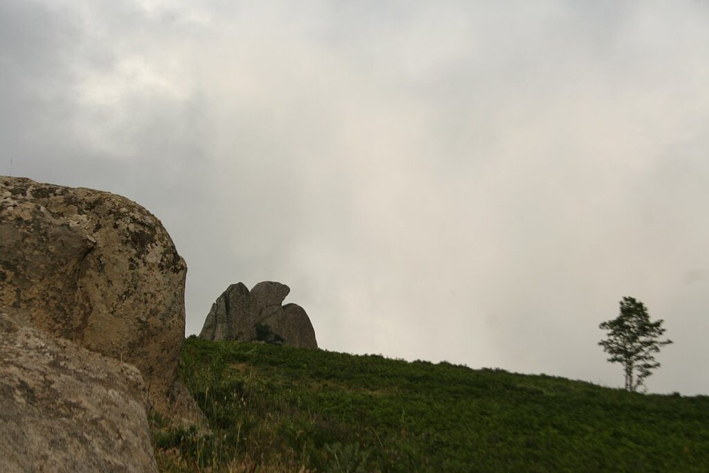 Aigle de roche, Argimusco, Montalbano Elicona