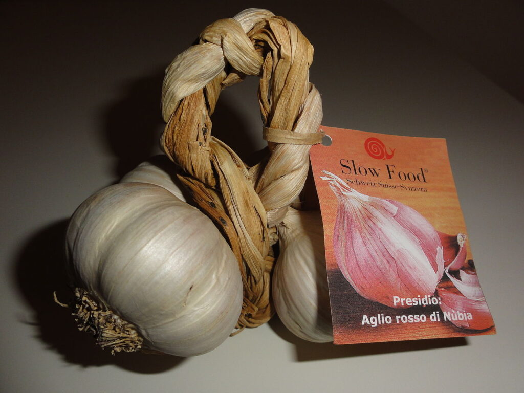 Red garlic from Nubia