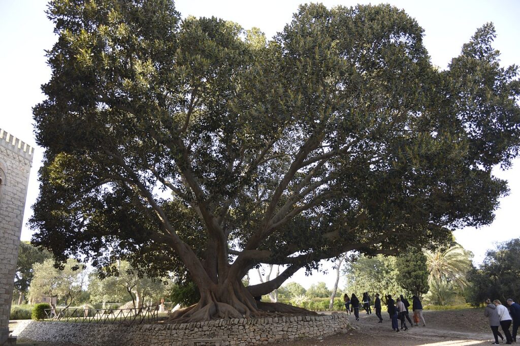 Jardin du château de Donnafugata