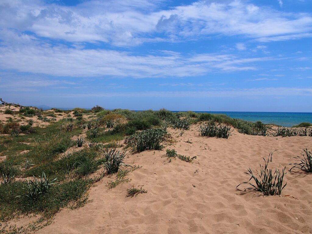 Riserva del foce belice