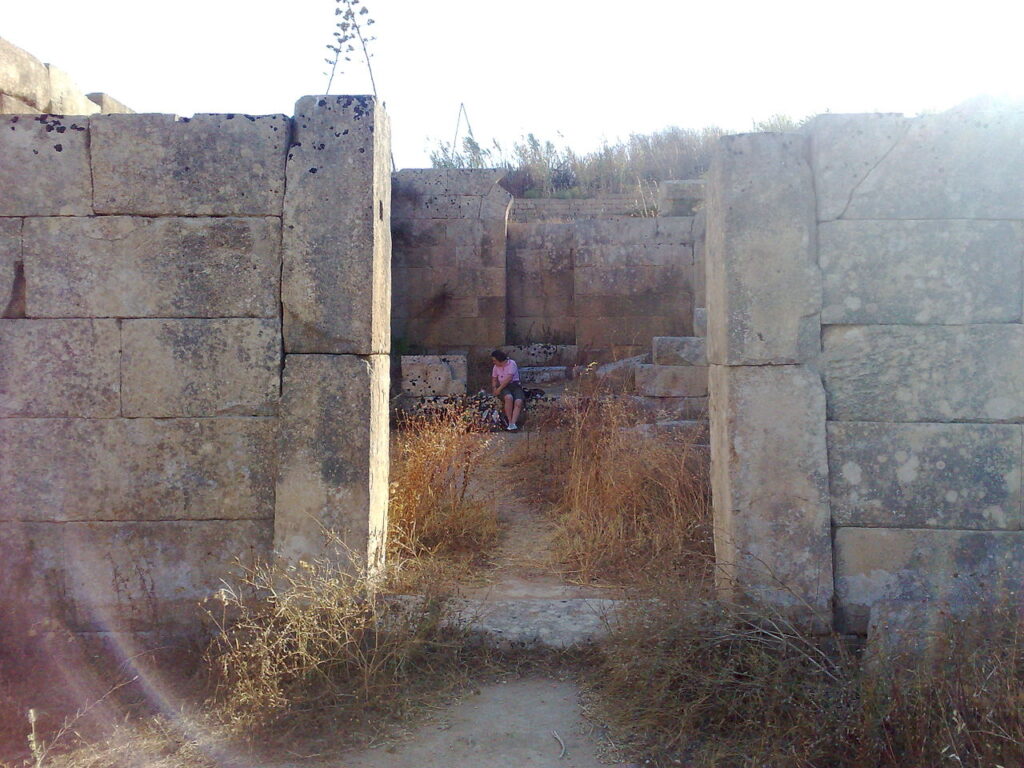 Sanctuaire des Malophoros, Sélinonte
