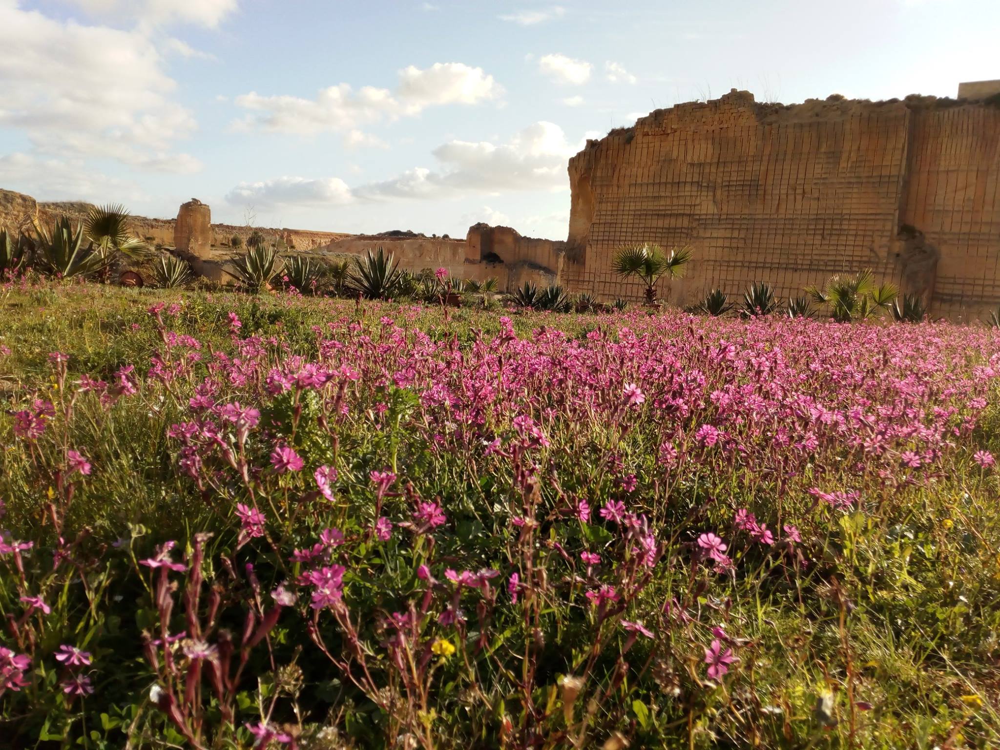 Parco delle Cave, Marsala