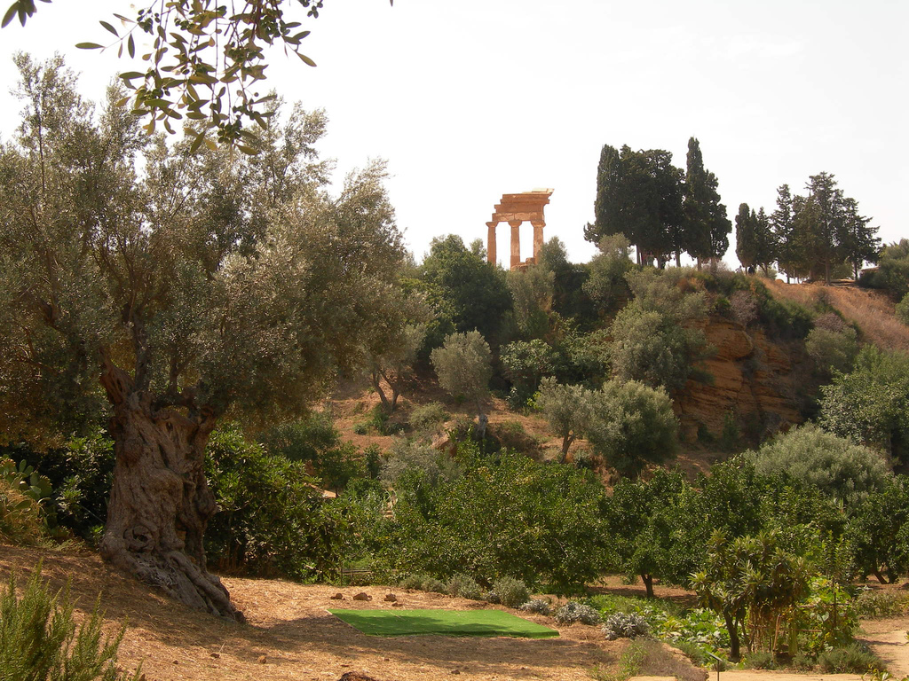 Koymbetra Garden, Valley of the Temples, Agrigento