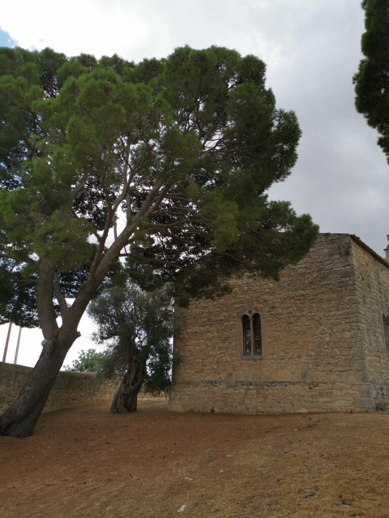 Giardino del castello di Donnafugata