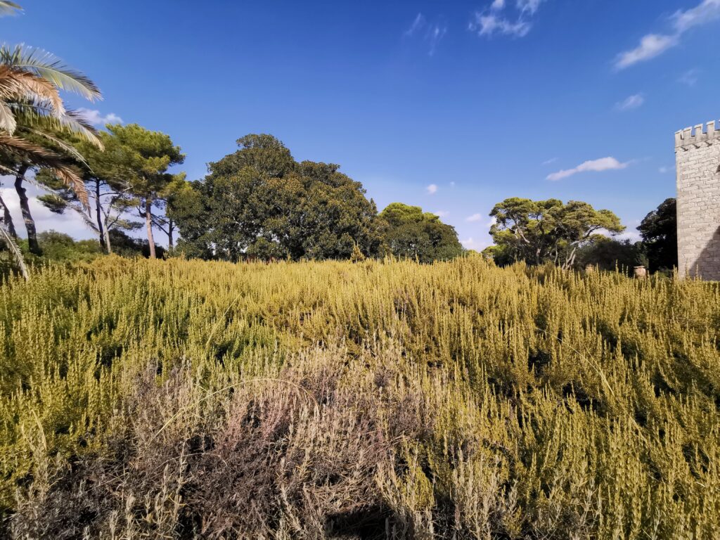 Giardino del castello di Donnafugata