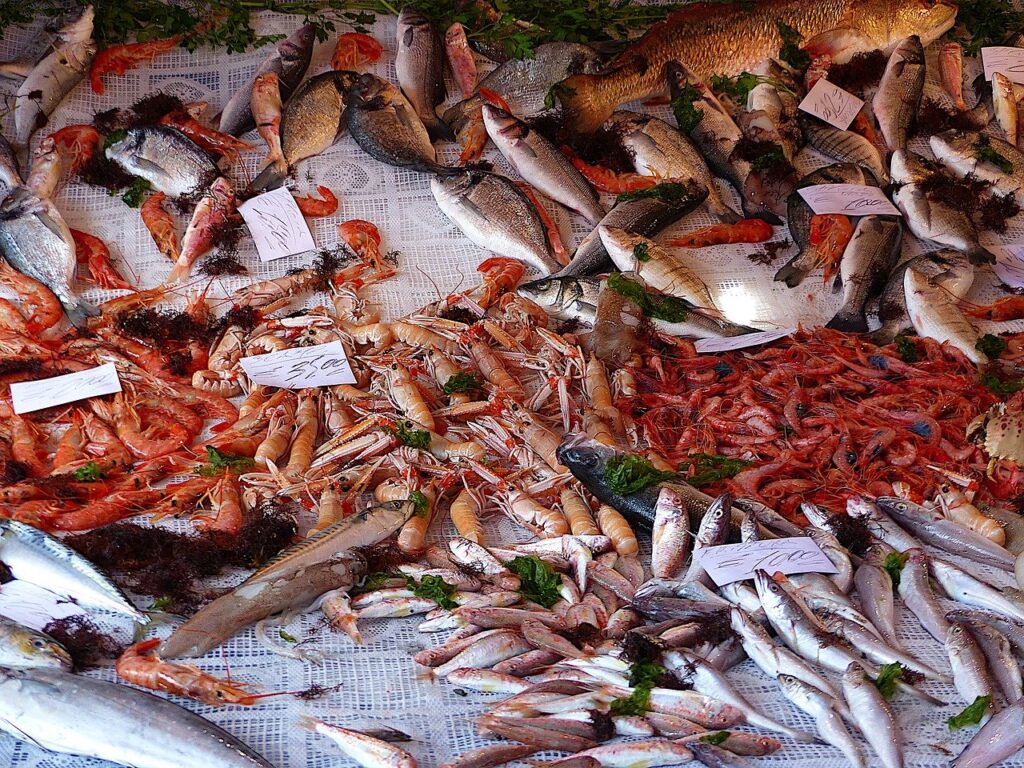 Mercato di Ballarò, pesce, Palermo