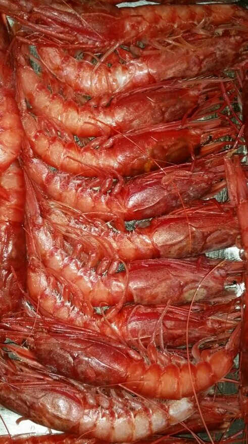 Crevettes rouges de Mazara