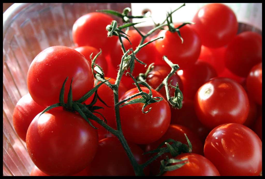 Typical Sicilian dishes and products: Pachino tomato
