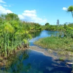 Fonte River Ciane - Wo Papyrus wächst